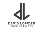 david-lowden-logo